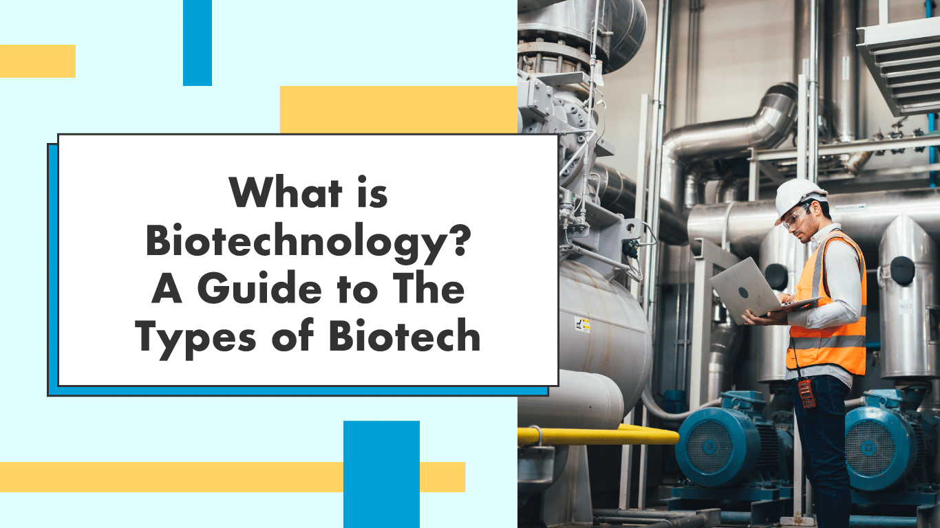 What is Biotechnology? A Guide to The Types of Biotech